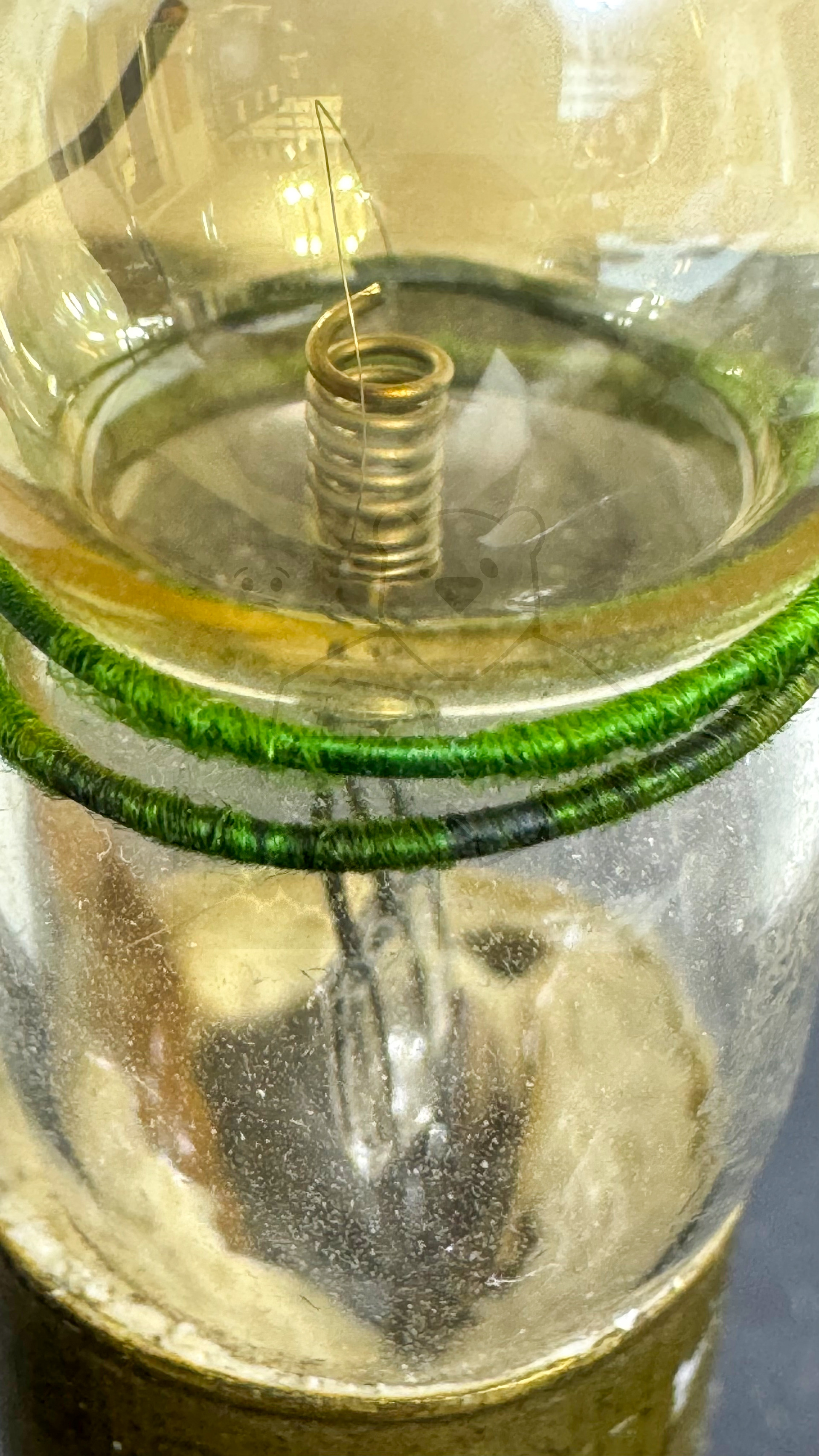 Röhre Welsh 'Peanut' Tube WT501 #7235 Bild 7