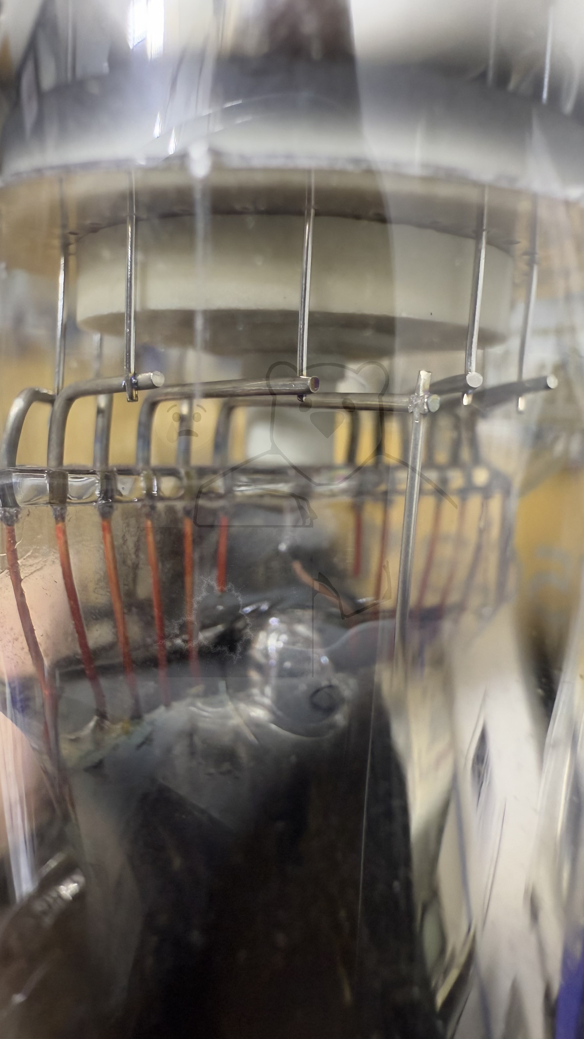 Röhre Z503M #7989 Bild 5