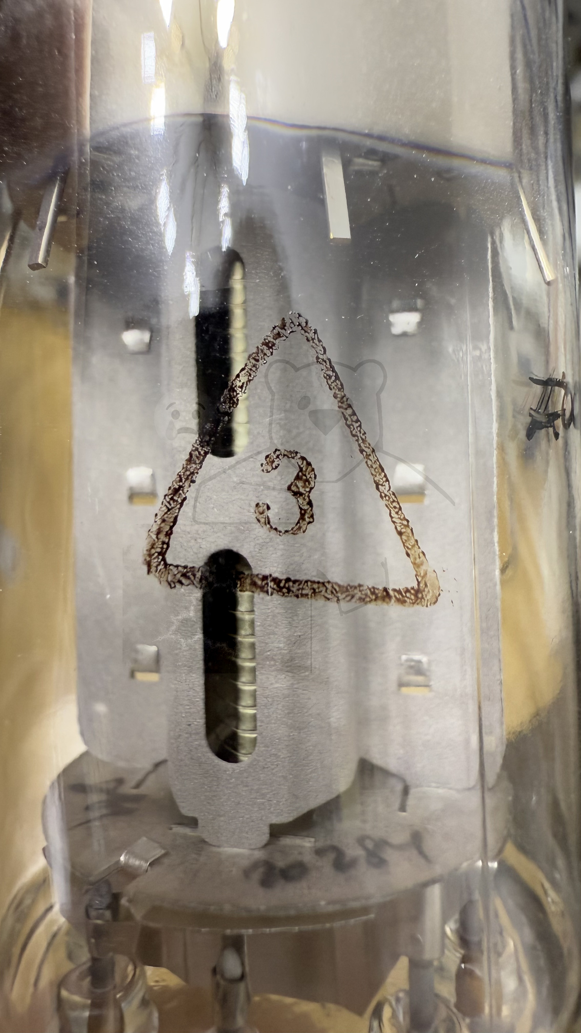 Röhre ГУ-50 #0209 GU50 Bild 17